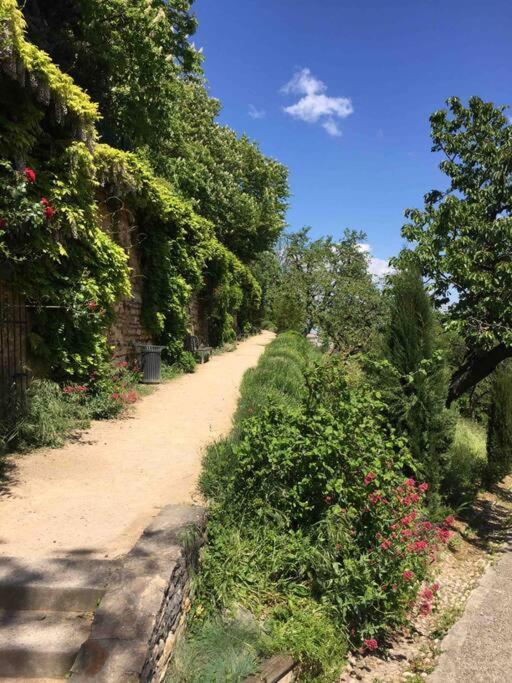 Studio Close Fourviere Very Quiet & Small Terrace Apartment Lyon Exterior photo